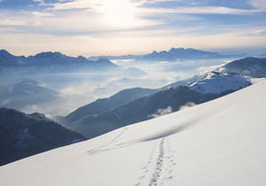 群晖电影整理海报墙套件使用教程（jellyfin配置教程）